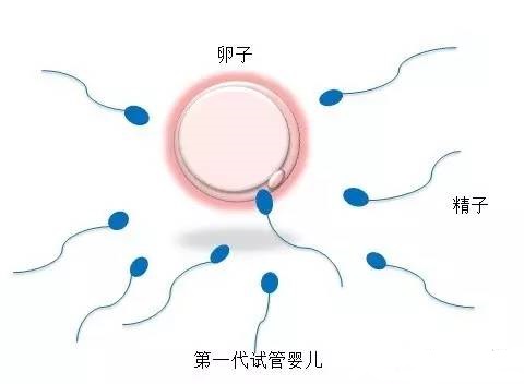 明远生殖医学中心